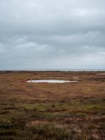 Proprietary Estoppel and Adverse Possession: A Struggle Between Fairness and Legalised Theft